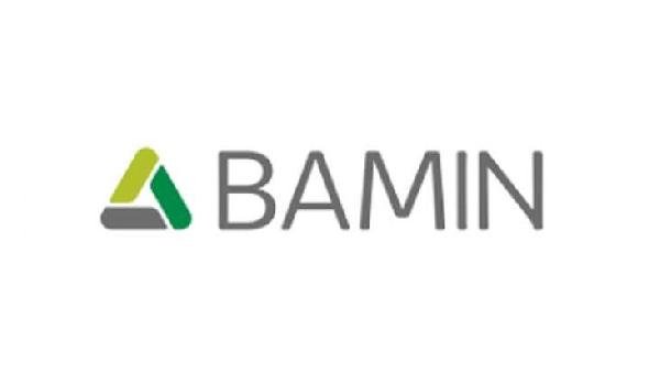 BAMIN ESCLARECE DEMISSÃO DE 300 TRABALHADORES E PARALISAÇÃO DAS OBRAS DA FIOL 1F