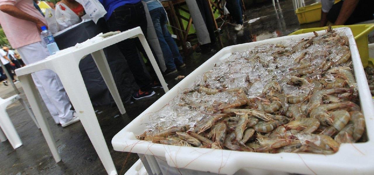 MINISTÉRIO VOLTA ATRÁS E LIBERA PESCA DE CAMARÃO E LAGOSTA NA BAHIA