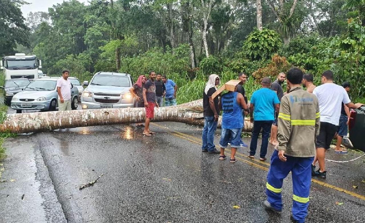 RODOVIA ILHÉUS-ITABUNA É LIBERADA APÓS TRANSTORNOS CAUSADOS PELA VENTANIA RODOVIA ILHÉUS-ITABUNA É LIBERADA APÓS TRANSTORNOS CAUSADOS PELA VENTANIA