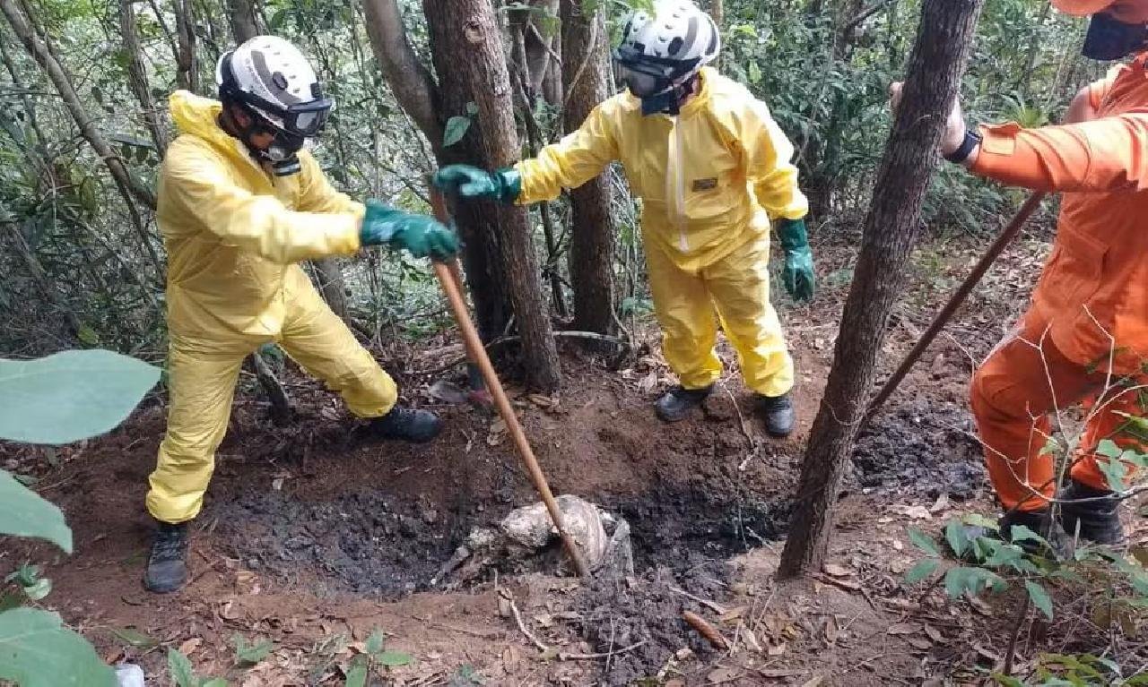 POLÍCIA CIVIL ENCONTRA OSSADAS HUMANAS EM ÁREA DE MATA EM NOVA VIÇOSA E PODEM ESTAR LIGADAS A “TRIBUNAL DO CRIME”