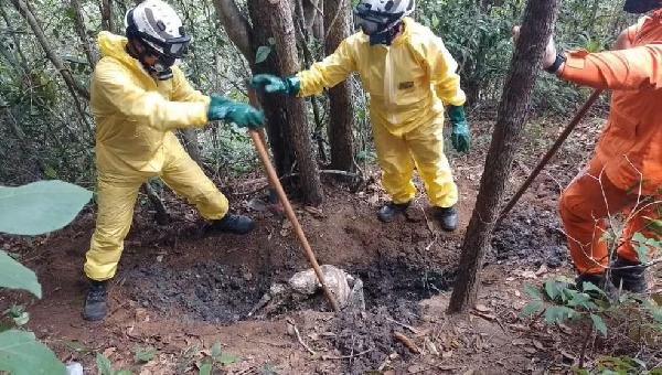 POLÍCIA CIVIL ENCONTRA OSSADAS HUMANAS EM ÁREA DE MATA EM NOVA VIÇOSA E PODEM ESTAR LIGADAS A “TRIBUNAL DO CRIME”