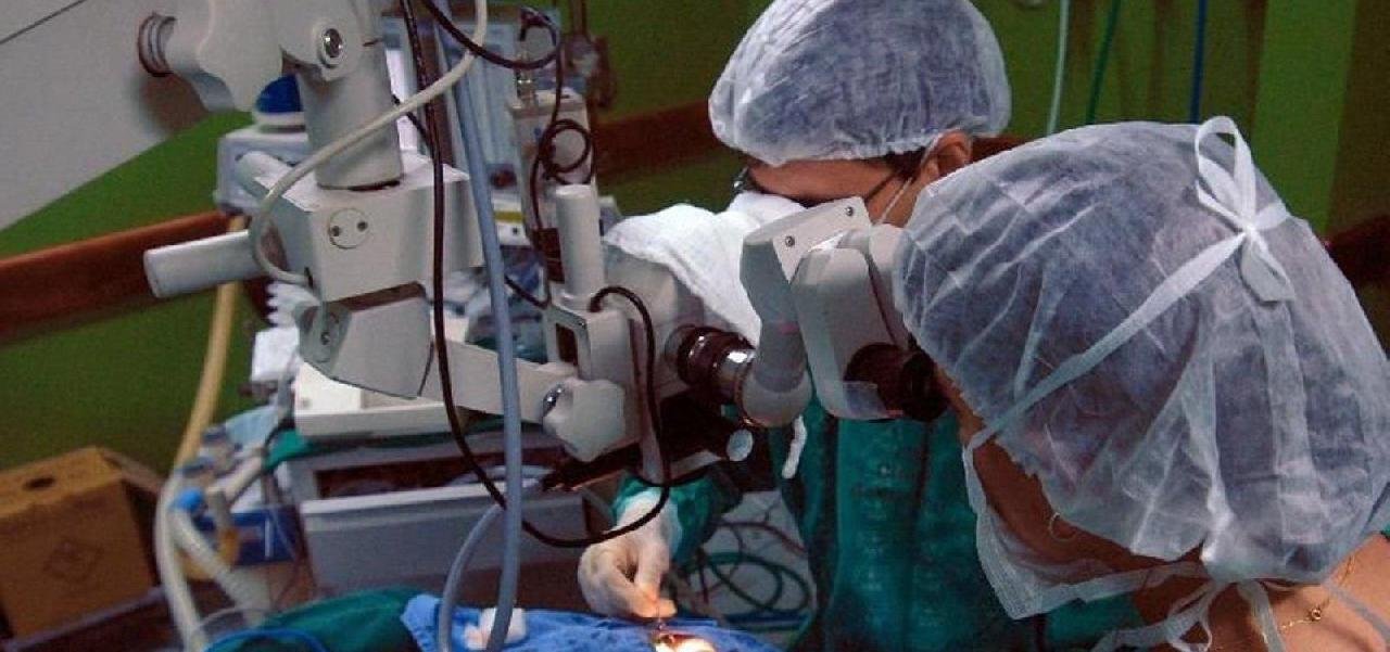 ARGUMENTO DE "CORPO ÍNTEGRO", É O MAIOR ENTRAVE PARA DOAÇÃO DE CÓRNEAS NA BAHIA ARGUMENTO DE "CORPO ÍNTEGRO", É O MAIOR ENTRAVE PARA DOAÇÃO DE CÓRNEAS NA BAHIA