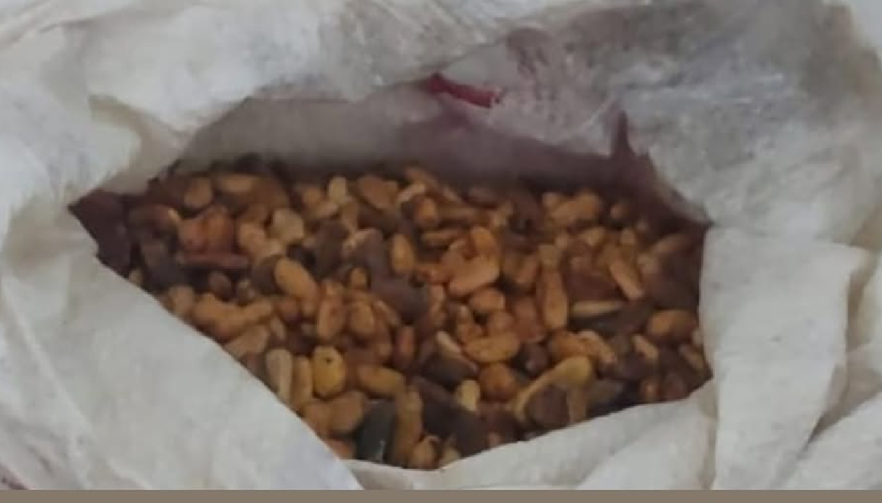 PM RECUPERA AMÊNDOAS DE CACAU FURTADAS NA ZONA RURAL DE ILHÉUS