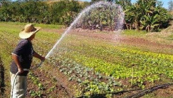 PRODUTORES TÊM ATÉ SEGUNDA-FEIRA PARA ADERIR AO REFIS RURAL