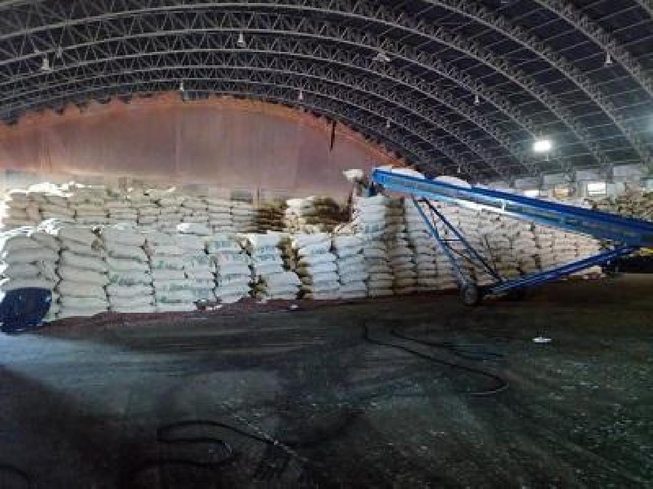 PRODUTORES DE CACAU DO SUL DA BAHIA AMEAÇAM FECHAR PORTO DE ILHÉUS EM PROTESTO POR IMPORTAÇÃO AFRICANA