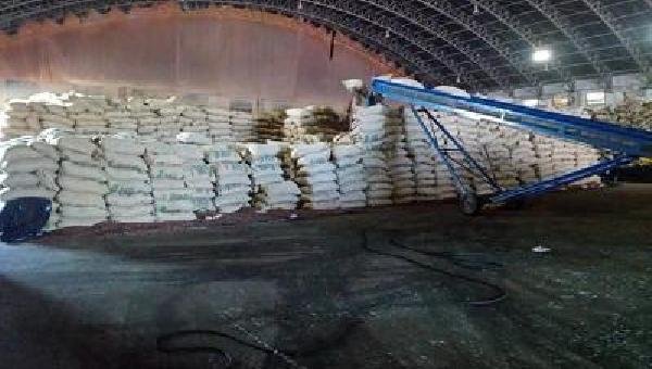 PRODUTORES DE CACAU DO SUL DA BAHIA AMEAÇAM FECHAR PORTO DE ILHÉUS EM PROTESTO POR IMPORTAÇÃO AFRICANA