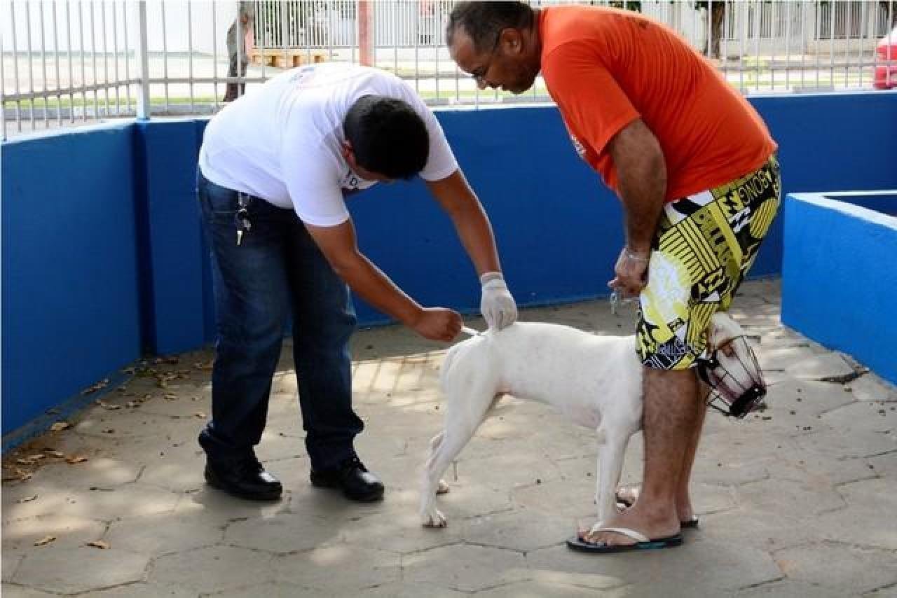 CAMPANHA CONTRA RAIVA É SUSPENSA NA BAHIA