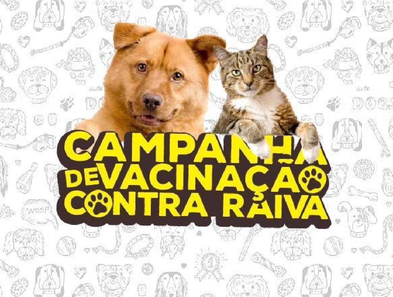 VACINAÇÃO ANTIRRÁBICA É INTENSIFICADA DURANTE O MÊS DE DEZEMBRO VACINAÇÃO ANTIRRÁBICA É INTENSIFICADA DURANTE O MÊS DE DEZEMBRO