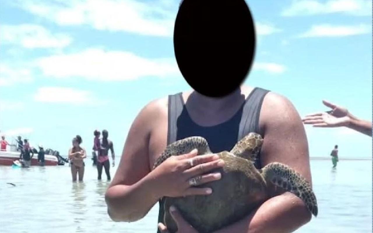TURISTAS CAPTURAM TARTARUGAS MARINHAS PARA FAZER SELFIES EM ÁREA DE PROTEÇÃO NA BAHIA TURISTAS CAPTURAM TARTARUGAS MARINHAS PARA FAZER SELFIES EM ÁREA DE PROTEÇÃO NA BAHIA