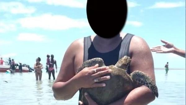 TURISTAS CAPTURAM TARTARUGAS MARINHAS PARA FAZER SELFIES EM ÁREA DE PROTEÇÃO NA BAHIA