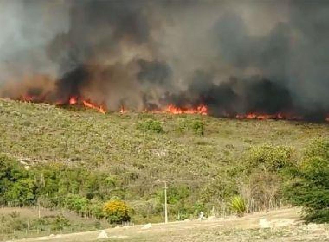 IBICOARA: INCÊNDIO ATINGE ÁREA DE VEGETAÇÃO HÁ CERCA DE 1 SEMANA IBICOARA: INCÊNDIO ATINGE ÁREA DE VEGETAÇÃO HÁ CERCA DE 1 SEMANA