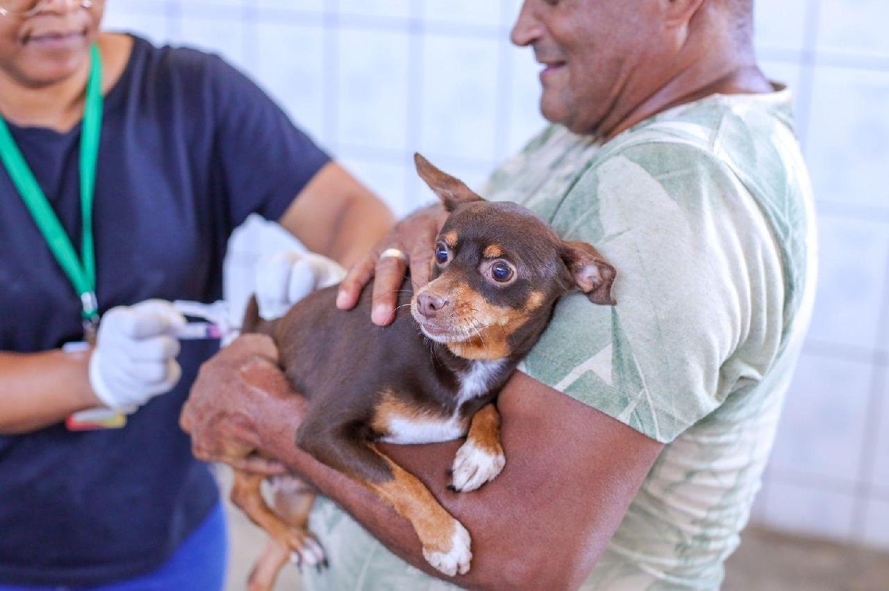 ILHÉUS INICIA A SEMANA COM MAIS DE 9,5 MIL ANIMAIS VACINADOS CONTRA A RAIVA ILHÉUS INICIA A SEMANA COM MAIS DE 9,5 MIL ANIMAIS VACINADOS CONTRA A RAIVA