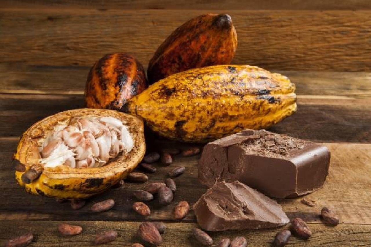 DO FRUTO AO CHOCOLATE: AGRICULTORES DOMINAM SETORES DA PRODUÇÃO