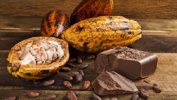 DO FRUTO AO CHOCOLATE: AGRICULTORES DOMINAM SETORES DA PRODUÇÃO