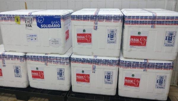 CHEGAM EM SALVADOR 79,2 MIL DOSES DA CORONAVAC