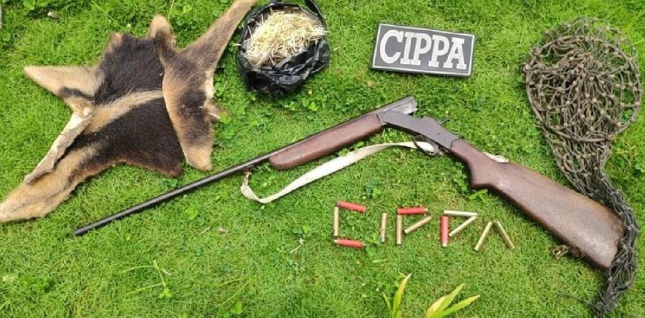 CIPPA RESGATA ANIMAIS SILVESTRES E APREENDE ARMA EM UNA CIPPA RESGATA ANIMAIS SILVESTRES E APREENDE ARMA EM UNA