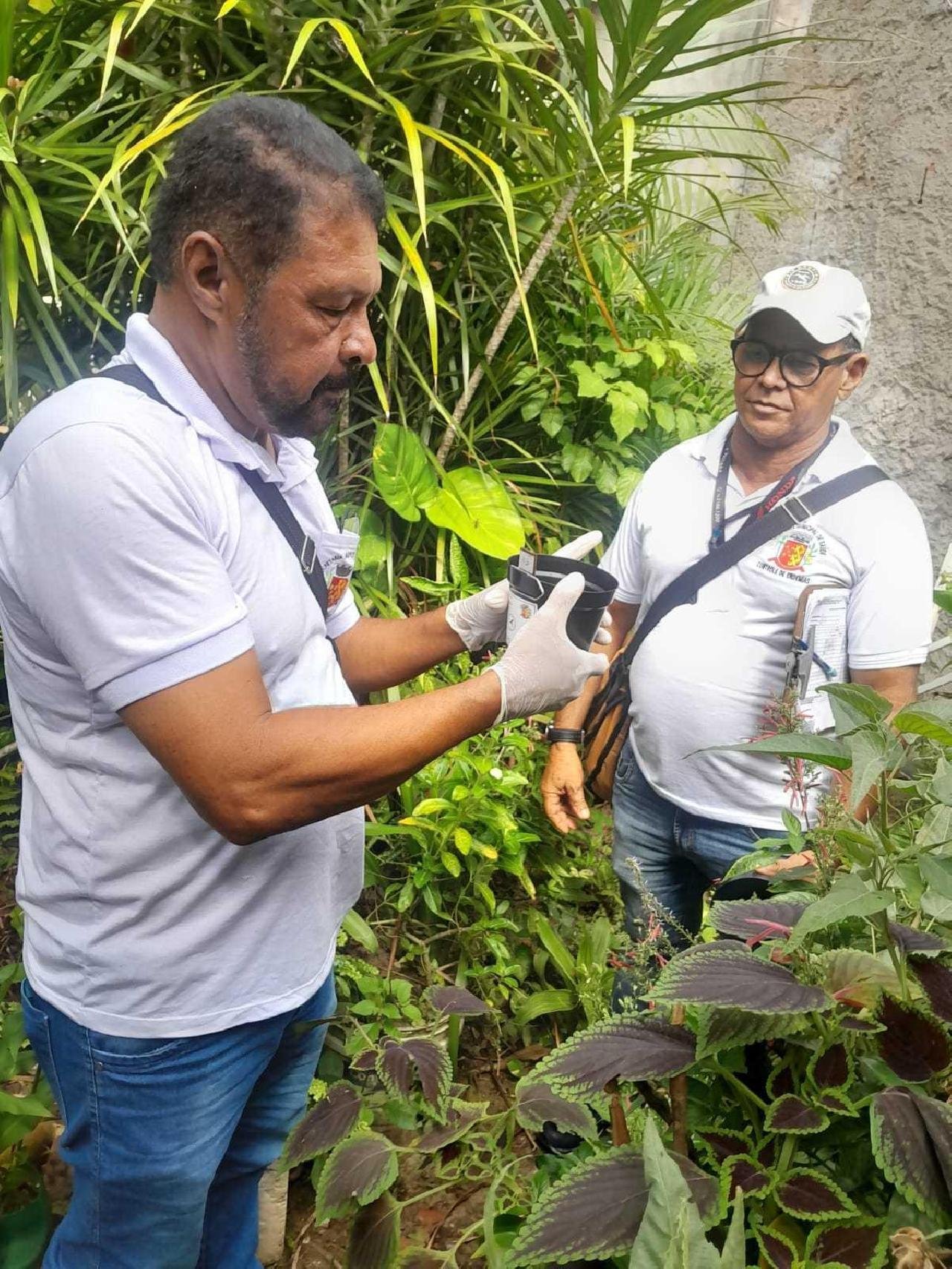 MONITORAMENTO DO AEDES AEGYPTI É AMPLIADO NOS BAIRROS TEOTÔNIO VILELA, ILHÉUS II, NOSSA SENHORA DA VITÓRIA E NELSON COSTA