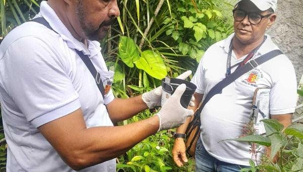 MONITORAMENTO DO AEDES AEGYPTI É AMPLIADO NOS BAIRROS TEOTÔNIO VILELA, ILHÉUS II, NOSSA SENHORA DA VITÓRIA E NELSON COSTA
