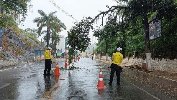 ILHÉUS MOBILIZA EQUIPES PARA REDUZIR OS IMPACTOS DA CHUVA NO MUNICÍPIO