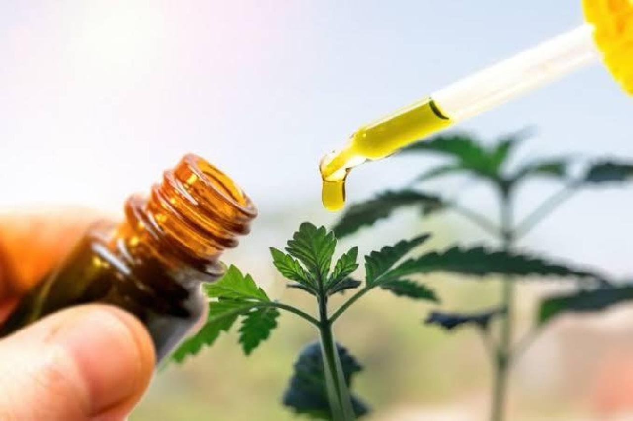 APROVADO EM ILHÉUS PROJETO DE LEI QUE GARANTE ACESSO A MEDICAMENTOS A BASE DE CANABIDIOL APROVADO EM ILHÉUS PROJETO DE LEI QUE GARANTE ACESSO A MEDICAMENTOS A BASE DE CANABIDIOL