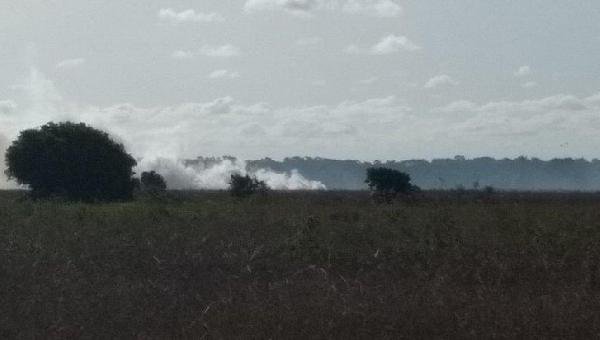 INCÊNDIO ATINGE RESERVA AMBIENTAL EM CANAVIEIRAS