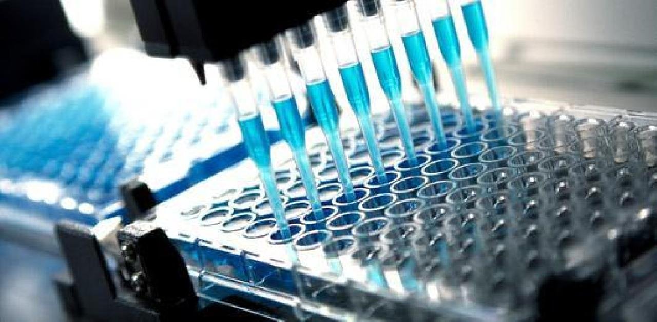 GOVERNO VAI TESTAR EM PACIENTES REMÉDIO COM 94% DE EFICÁCIA CONTRA A COVID-19 GOVERNO VAI TESTAR EM PACIENTES REMÉDIO COM 94% DE EFICÁCIA CONTRA A COVID-19