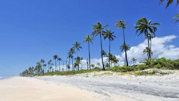 THE INTERCEPT REVELA QUE VILA GALÉ PODE ABRIR AS PORTAS EM 2021 NO SUL DA BAHIA