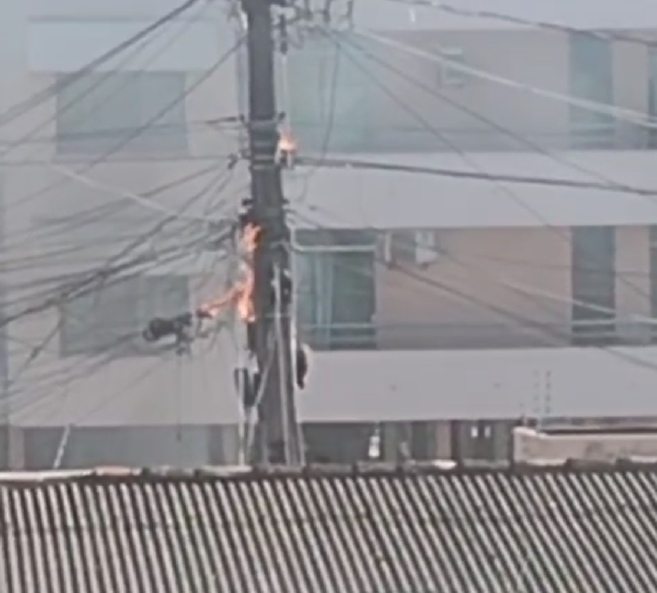 POSTE PEGA FOGO APÓS SERVIÇO DA COELBA NA RUA CASTRO ALVES, EM ILHÉUS POSTE PEGA FOGO APÓS SERVIÇO DA COELBA NA RUA CASTRO ALVES, EM ILHÉUS