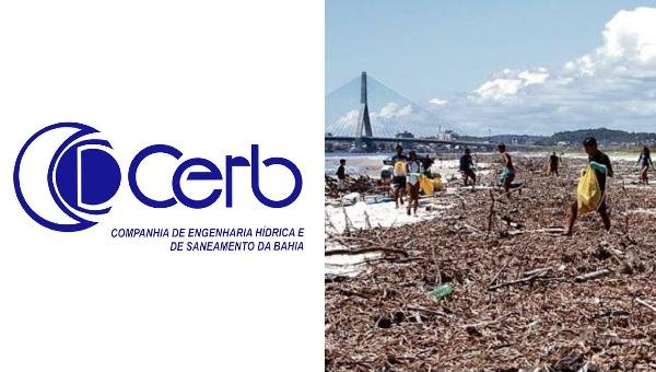 CERB DEFENDE AÇÕES CONJUNTAS E APONTA FALTA DE SANEAMENTO COMO CAUSA DA PROLIFERAÇÃO DAS BARONESAS