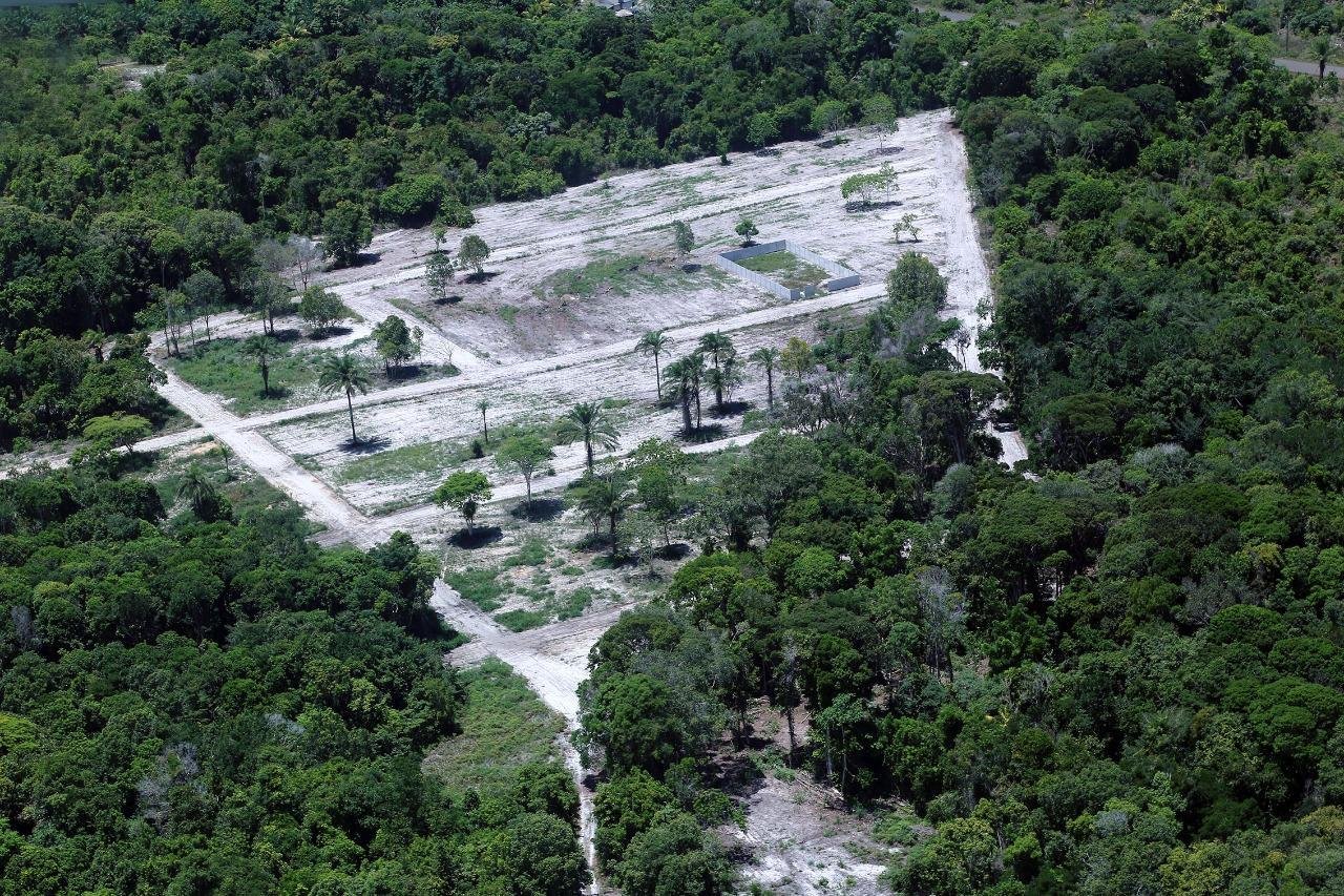 DENÚNCIA: LOTEAMENTOS CLANDESTINOS EM ILHÉUS DENÚNCIA: LOTEAMENTOS CLANDESTINOS EM ILHÉUS