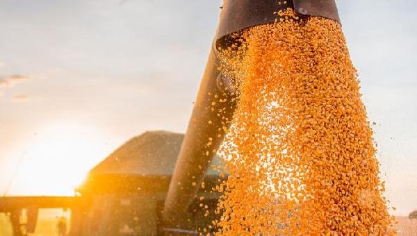 PROGNÓSTICO DO IBGE E LEVANTAMENTO DA CONAB ESTIMAM AUMENTO DA SAFRA EM 2025