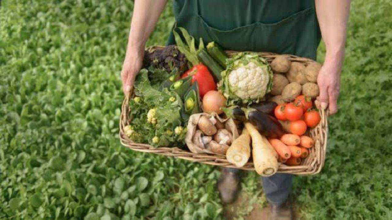 XII SEMANA DA AGRONOMIA SERÁ REALIZADA DE 19 A 22 DE SETEMBRO XII SEMANA DA AGRONOMIA SERÁ REALIZADA DE 19 A 22 DE SETEMBRO