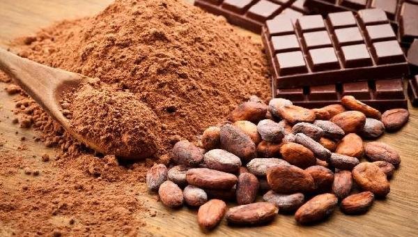 APROVADO PROJETO QUE REGULAMENTA PERCENTUAL DE CACAU EM CHOCOLATES