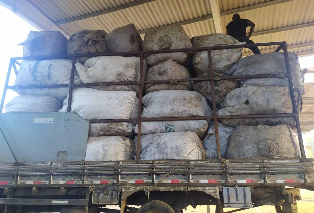 SUSTENTABILIDADE: 2,5 TONELADAS DE MATERIAIS RECICLÁVEIS SÃO RECOLHIDAS DURANTE VIVA ILHÉUS SUSTENTABILIDADE: 2,5 TONELADAS DE MATERIAIS RECICLÁVEIS SÃO RECOLHIDAS DURANTE VIVA ILHÉUS