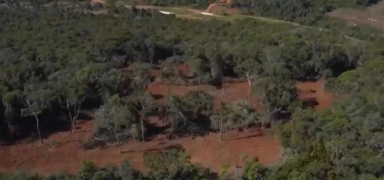 DESMATAMENTO AUMENTOU 54% EM UM ANO NA BAHIA DESMATAMENTO AUMENTOU 54% EM UM ANO NA BAHIA