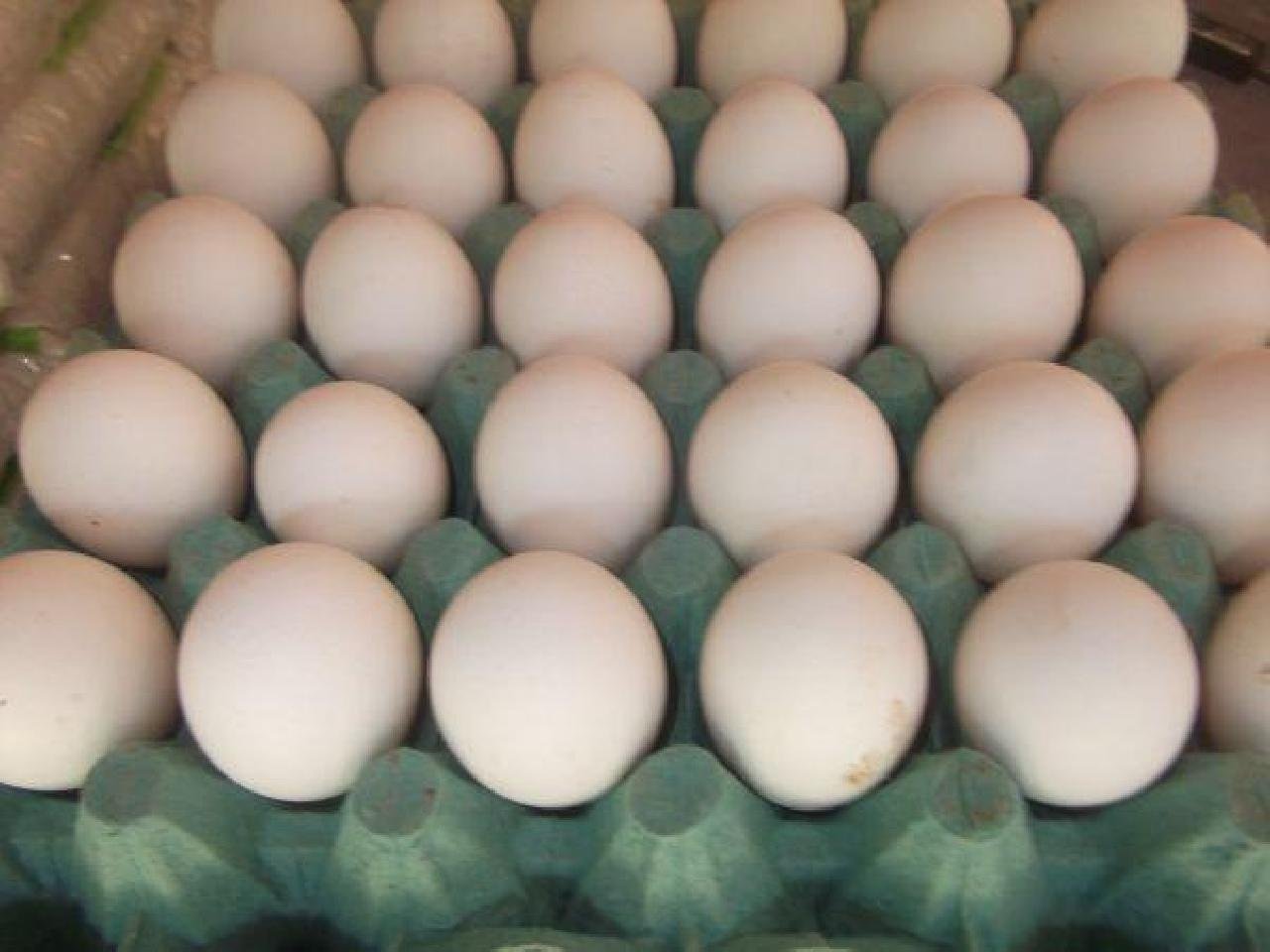 ILHÉUS: PREÇO DO OVO SOBE 37% EM SUPERMERCADOS ILHÉUS: PREÇO DO OVO SOBE 37% EM SUPERMERCADOS