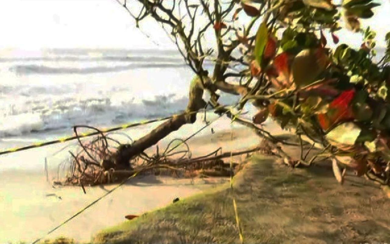 AVANÇO DO MAR DANIFICA ESTRUTURA DE BARRACA E DERRUBA ÁRVORE EM PRAIA DE ILHÉUS AVANÇO DO MAR DANIFICA ESTRUTURA DE BARRACA E DERRUBA ÁRVORE EM PRAIA DE ILHÉUS