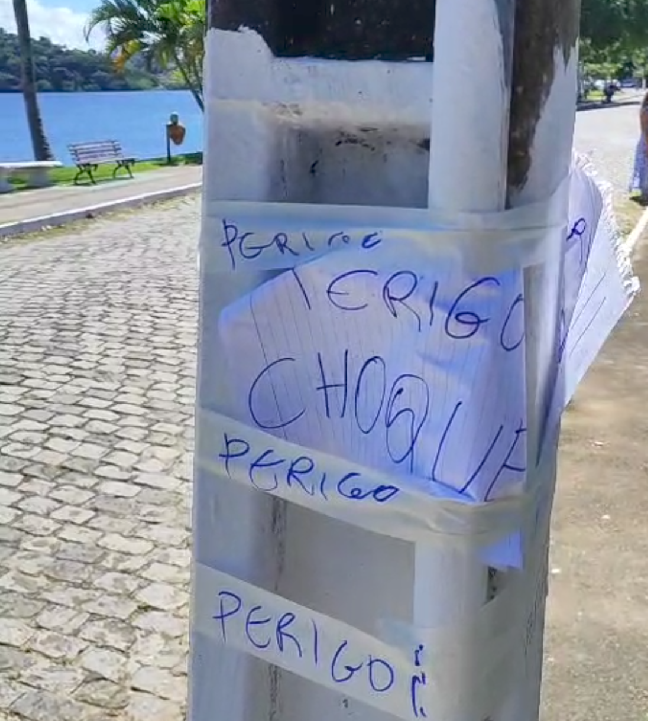 ILHÉUS: CRIANÇA FICA GRUDADA EM POSTE NA SAPETINGA E QUASE MORRE, SEGUNDO MORADORES