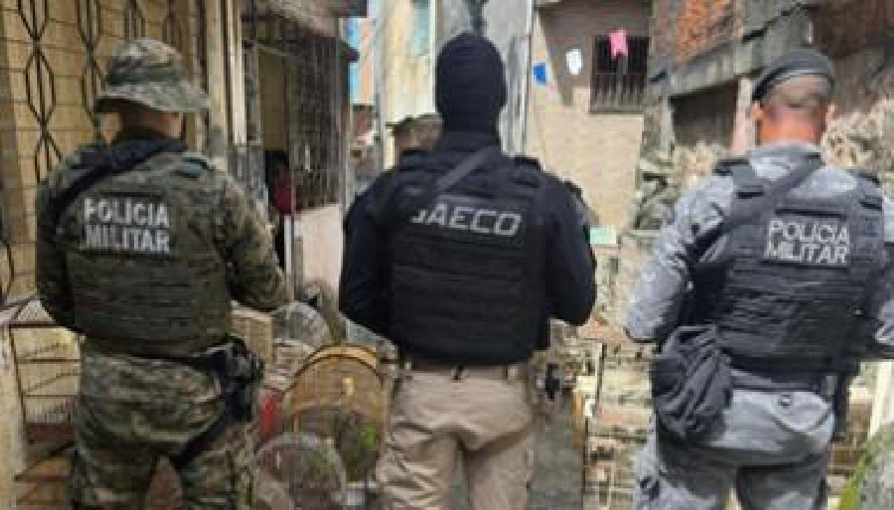 SUL DA BAHIA: SETE INTEGRANTES DA MAIOR REDE DE TRÁFICO DE AVES DO PAÍS SÃO CONDENADOS À PRISÃO 