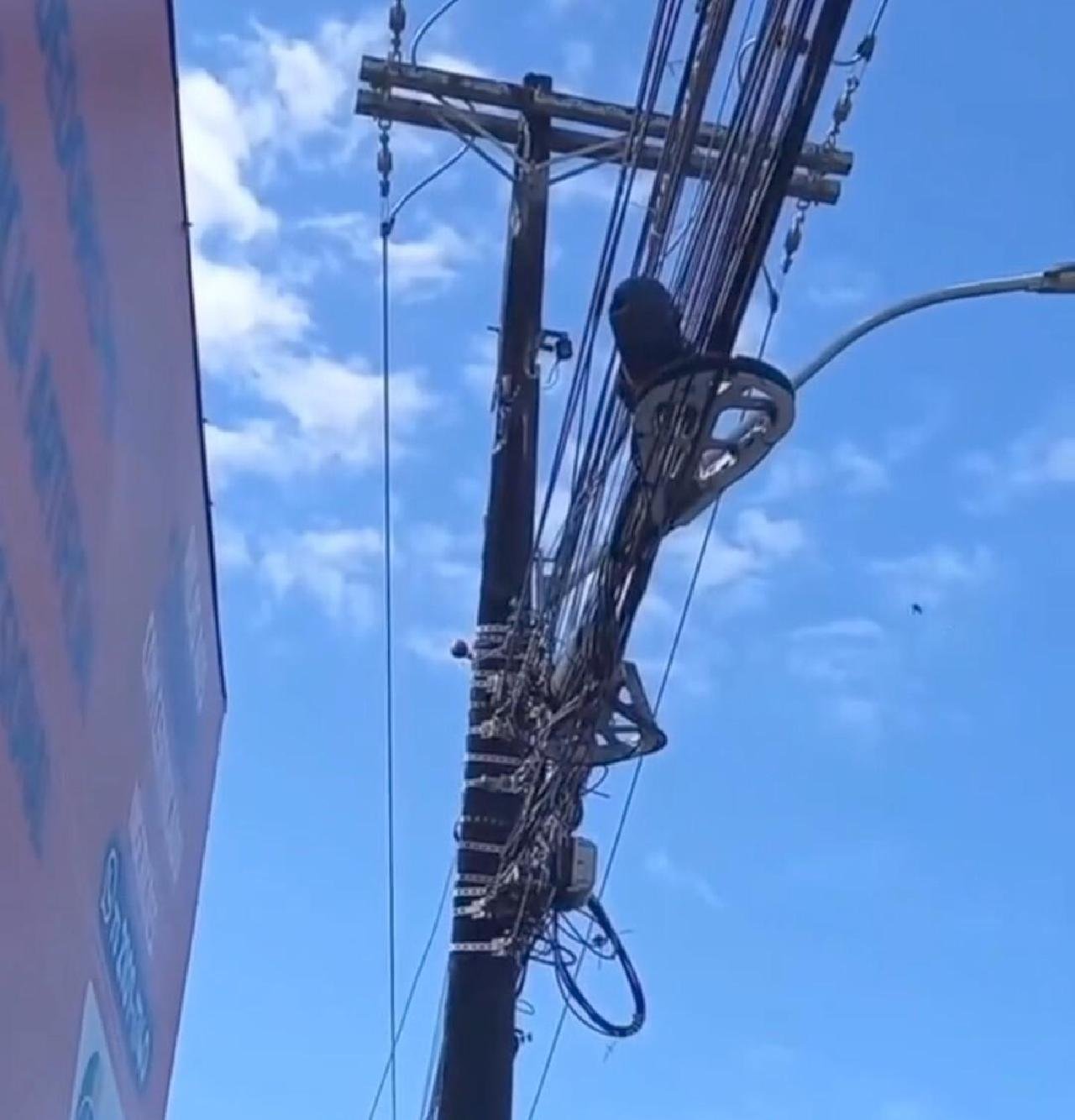 MORADOR DENUNCIA POSTE EM RISCO DE DESABAR NA RODOVIA ILHÉUS-OLIVENÇA MORADOR DENUNCIA POSTE EM RISCO DE DESABAR NA RODOVIA ILHÉUS-OLIVENÇA