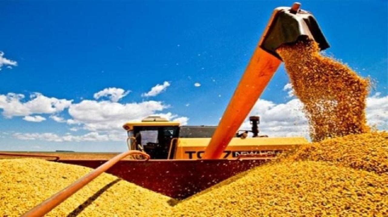 SAFRA BAIANA DE GRÃOS TEM QUEDA DE 11,15% EM 2019 SAFRA BAIANA DE GRÃOS TEM QUEDA DE 11,15% EM 2019