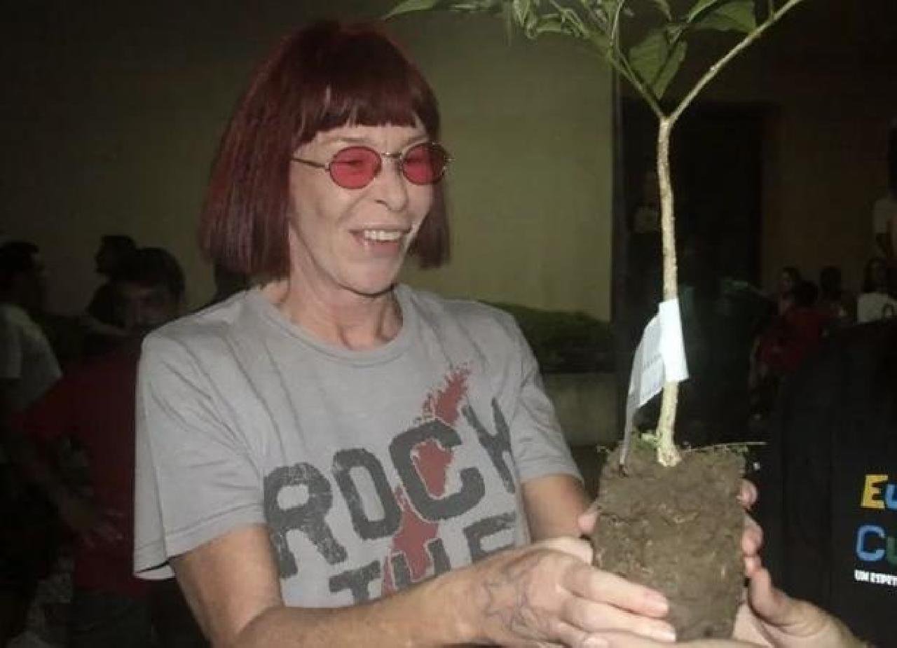 PÉ DE CACAU QUE RITA LEE PLANTOU EM ILHÉUS NO CENTRO DE CONVENÇÕES MORREU PÉ DE CACAU QUE RITA LEE PLANTOU EM ILHÉUS NO CENTRO DE CONVENÇÕES MORREU