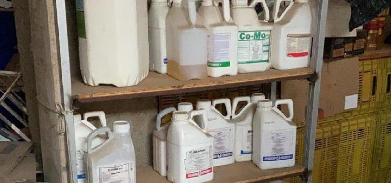 PF DEFLAGRA OPERAÇÃO DE COMBATE À FALSIFICAÇÃO DE AGROTÓXICOS NO NORTE DO ESTADO  PF DEFLAGRA OPERAÇÃO DE COMBATE À FALSIFICAÇÃO DE AGROTÓXICOS NO NORTE DO ESTADO