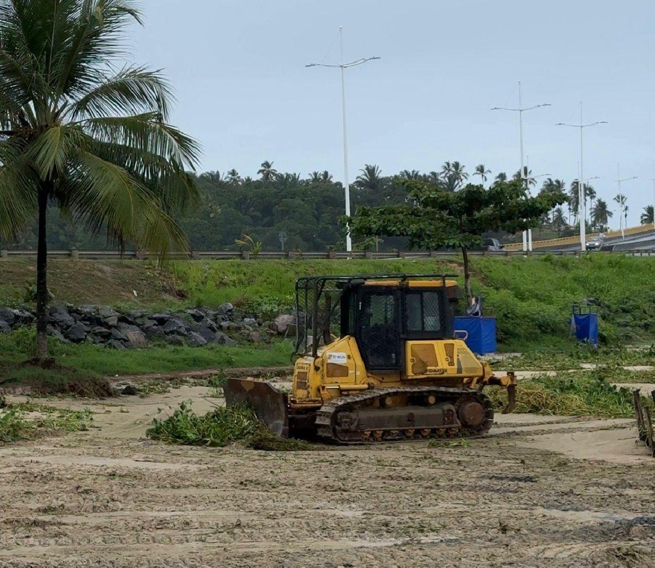 BARONESAS SÃO REMOVIDAS DA BAÍA DO PONTAL E DO RIO CACHOEIRA EM ILHÉUS
