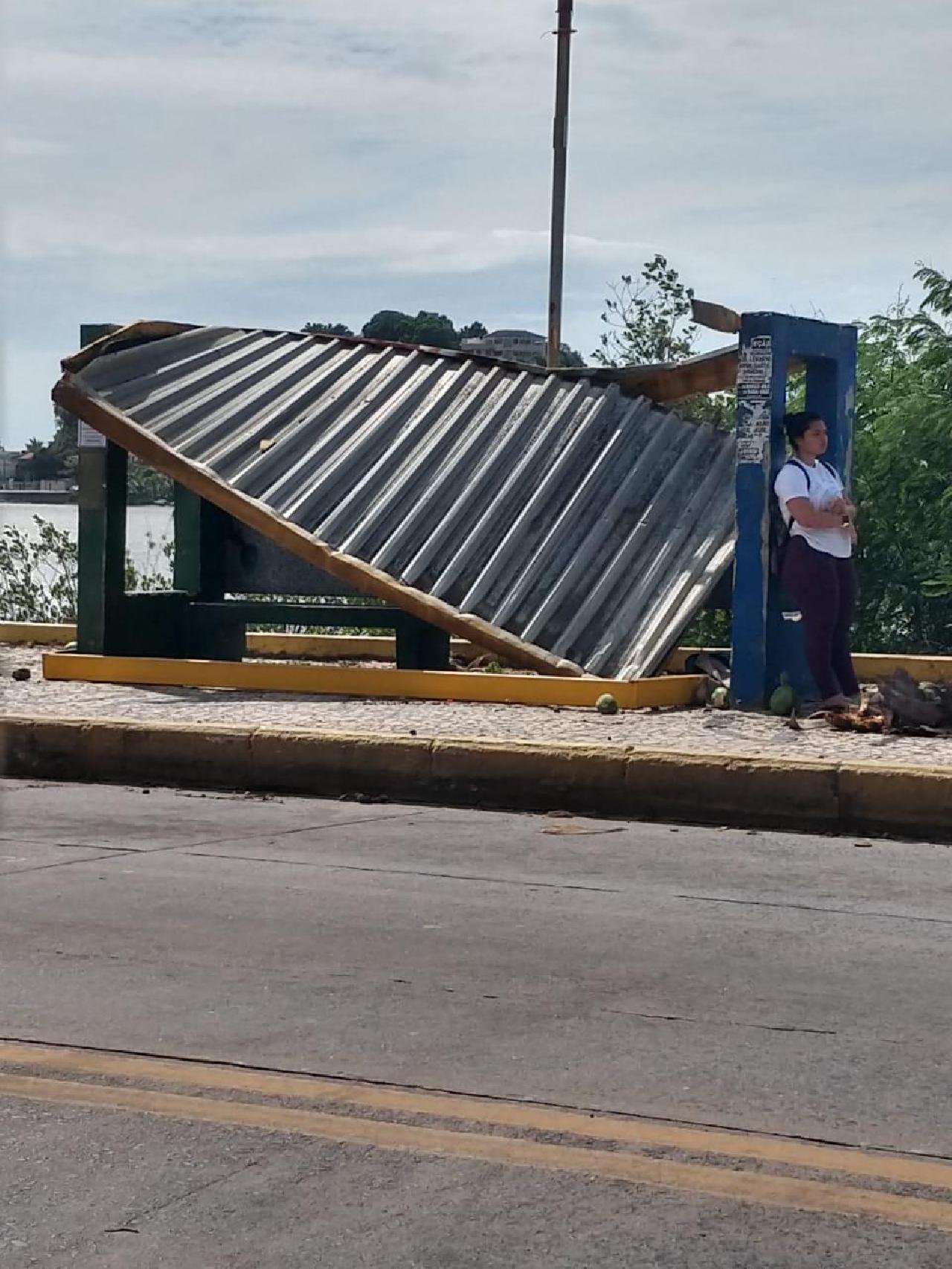 ABRIGO DE ÔNIBUS DESABA NA ZONA SUL DE ILHÉUS 