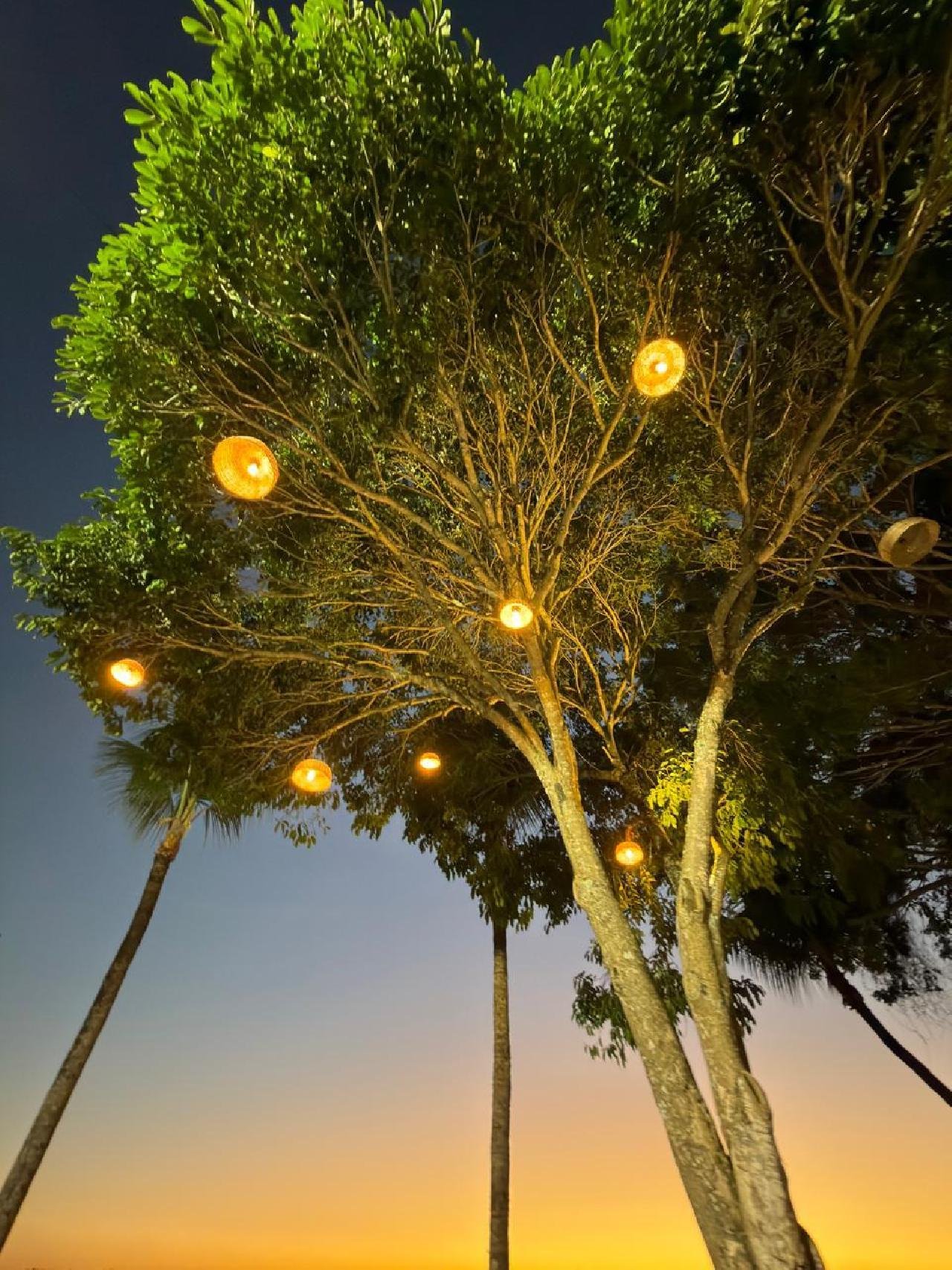 PRAÇA DA SAPETINGA GANHA ILUMINAÇÃO CÊNICA E REVITALIZAÇÃO EM ILHÉUS
