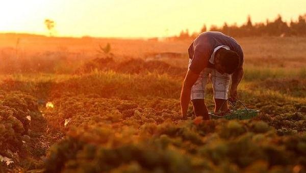 COMEÇA HOJE PRAZO PARA ENTREGA DA DECLARAÇÃO DE PROPRIEDADE RURAL