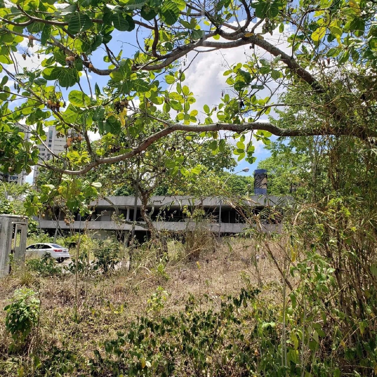 CACAUICULTOR FAZ DESABAFO SOBRE ABANDONO DO ESCRITÓRIO DA CEPLAC EM ITABUNA CACAUICULTOR FAZ DESABAFO SOBRE ABANDONO DO ESCRITÓRIO DA CEPLAC EM ITABUNA