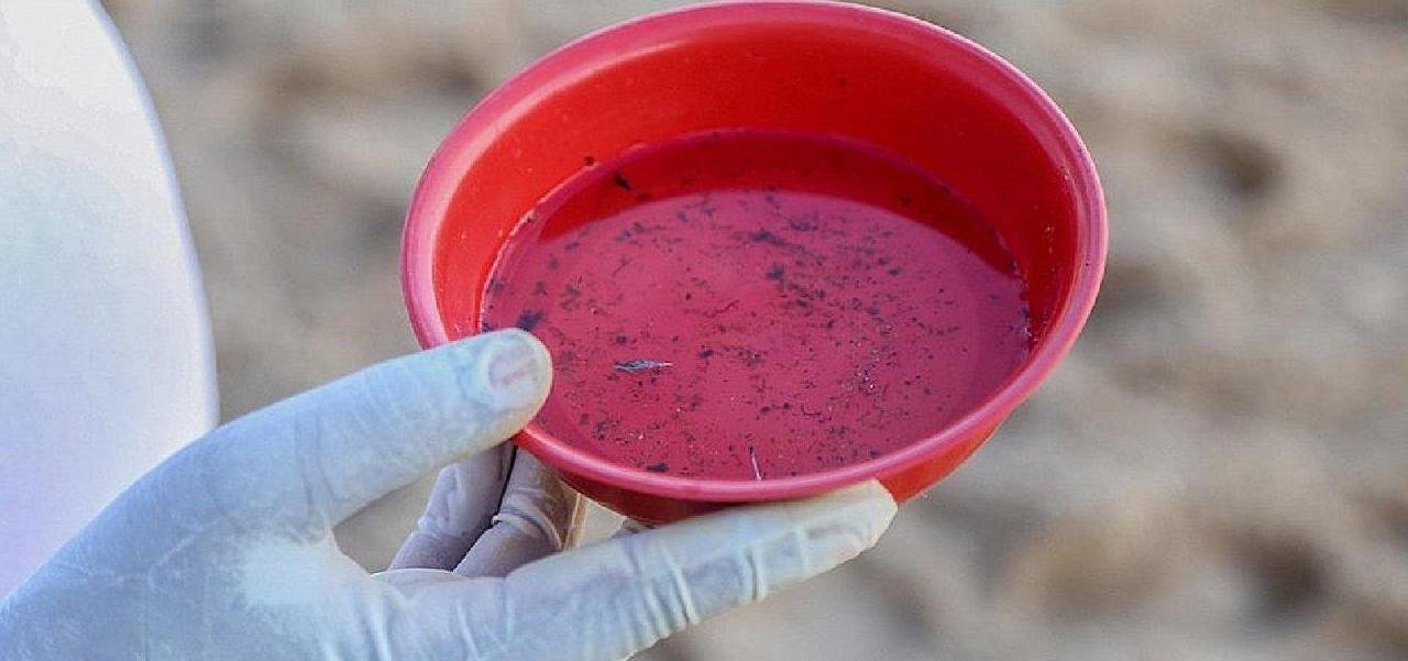 NOVA CEPA DE DENGUE É IDENTIFICADA NA BAHIA E SESAB EMITE ALERTA AOS MUNICÍPIOS  