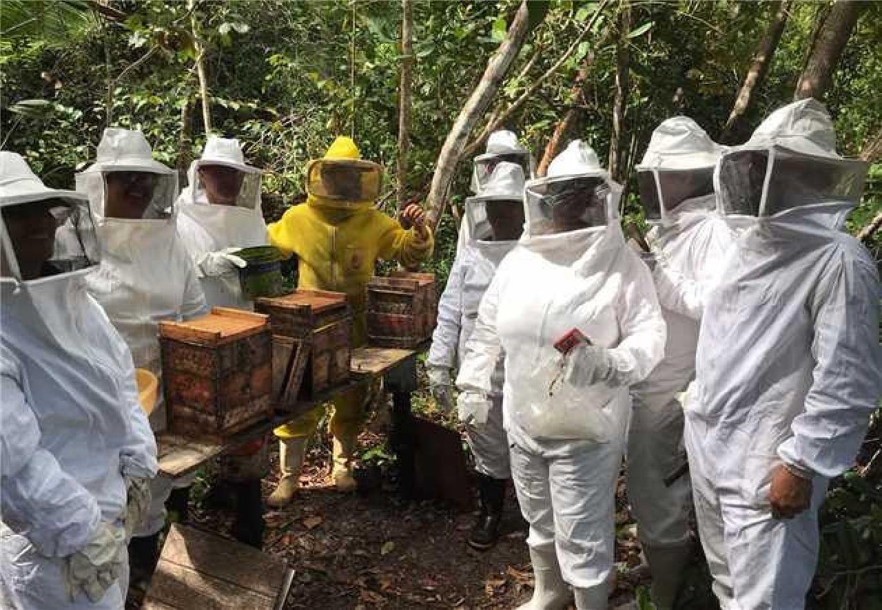 PREFEITURA DE ILHÉUS PROMOVE CURSOS PARA AGRICULTORES FAMILIARES DO MUNICÍPIO PREFEITURA DE ILHÉUS PROMOVE CURSOS PARA AGRICULTORES FAMILIARES DO MUNICÍPIO